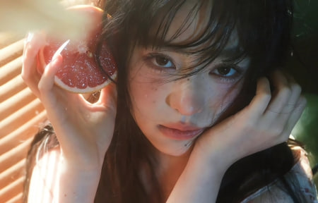 量子岛高清免费观看在线